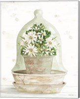 Framed 'Floral Cloche II' border=