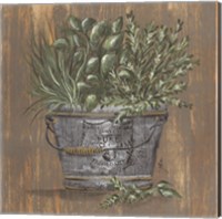 Framed Herb Trio in Pail