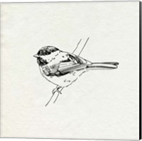 Framed Bird Feeder Friends II