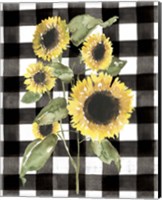 Framed 'Buffalo Check Sunflower I' border=