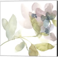 Framed 'Sweet Petals and Leaves II' border=