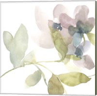 Framed 'Sweet Petals and Leaves II' border=