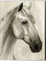 Framed Freckled Pony II