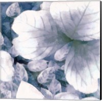 Framed 'Blue Shaded Leaves I' border=