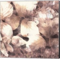 Framed 'Blush Shaded Leaves IV' border=