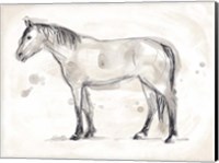 Framed Vintage Equine Sketch I