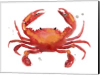 Framed Crab Cameo I