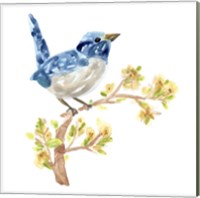Framed 'Springtime Songbirds I' border=