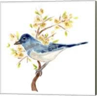 Framed 'Springtime Songbirds IV' border=