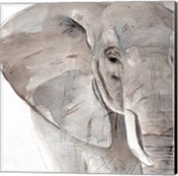 Framed Elephant Grooves II