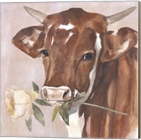 Framed Peony Cow I