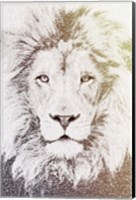 Framed Lion