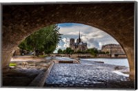 Framed Chien et Notre Dame