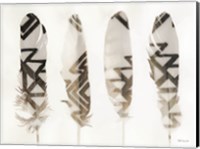 Framed Feathers 1