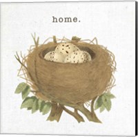 Framed 'Spring Nest II Home' border=