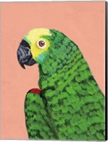 Framed Parrot Head