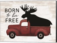 Framed Born to be Free Moose