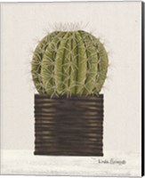 Framed Potted Cactus