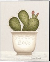 Framed 'Prickly Pear Cactus' border=