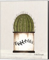 Framed Round Cactus