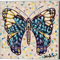 Framed 'Pop Butterfly II' border=