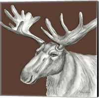 Framed 'Watercolor Pencil Forest color I-Moose' border=