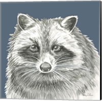Framed 'Watercolor Pencil Forest color VI-Raccoon' border=