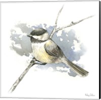 Framed 'Birds & Branches III-Chickadee' border=