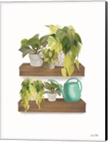 Framed Plant Lover Shelves