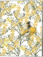 Framed Yellow Spring Finch