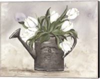 Framed Watering Can Tulips