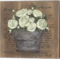 Framed 'Heavenly Roses' border=