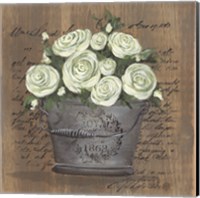 Framed 'Heavenly Roses' border=