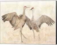 Framed Sandhill Cranes 1