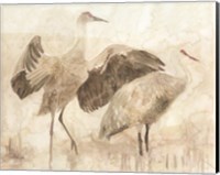 Framed Sandhill Cranes 2