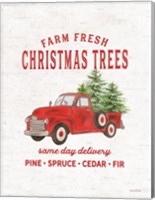 Framed Christmas Trees Delivery Truck