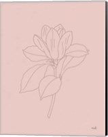 Framed Magnolia Line Drawing Pink