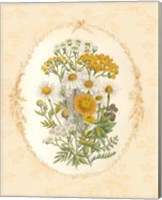 Framed 'Gentle Soul Bouquet I' border=