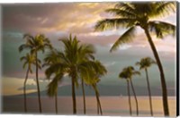 Framed Hawaii Palm Sunset No. 1
