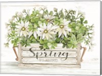 Framed Spring Flowers