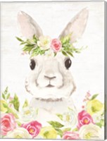 Framed Spring Bunny