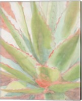Framed 'Succulent Bloom 1' border=