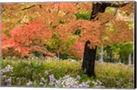 Framed Autumn Splendor