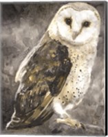 Framed Snowy Owl 2