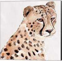 Framed Saharan Cheetah II
