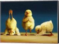 Framed Yoga Chicks