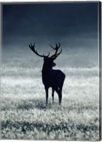 Framed Silhouette Deer