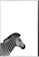 Framed Zebra 2