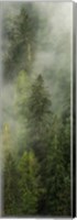 Framed Smoky Forest Panel I