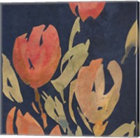 Framed 'Dark Orange Tulips II' border=